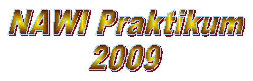 NAWI Praktikum 2009